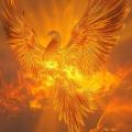 Phoenix kt